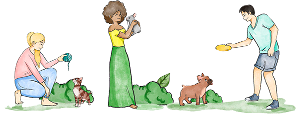 Pet Training